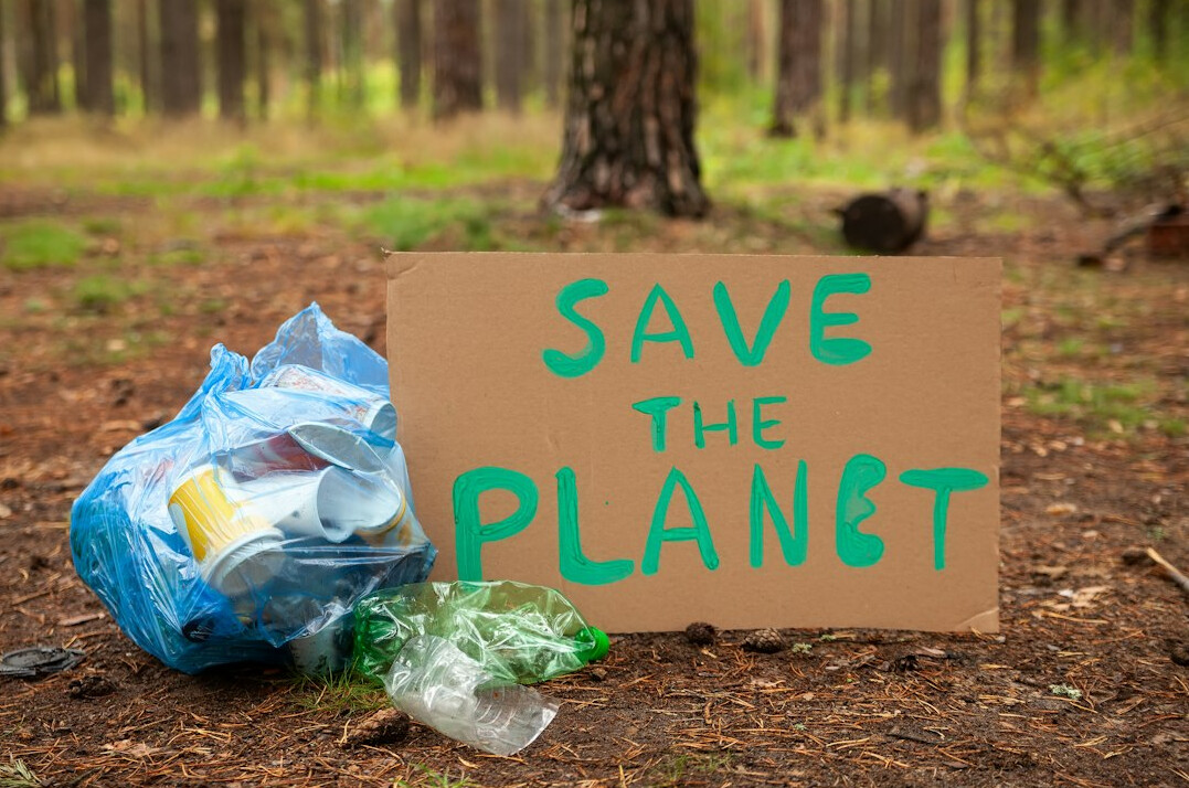sustainability survey results